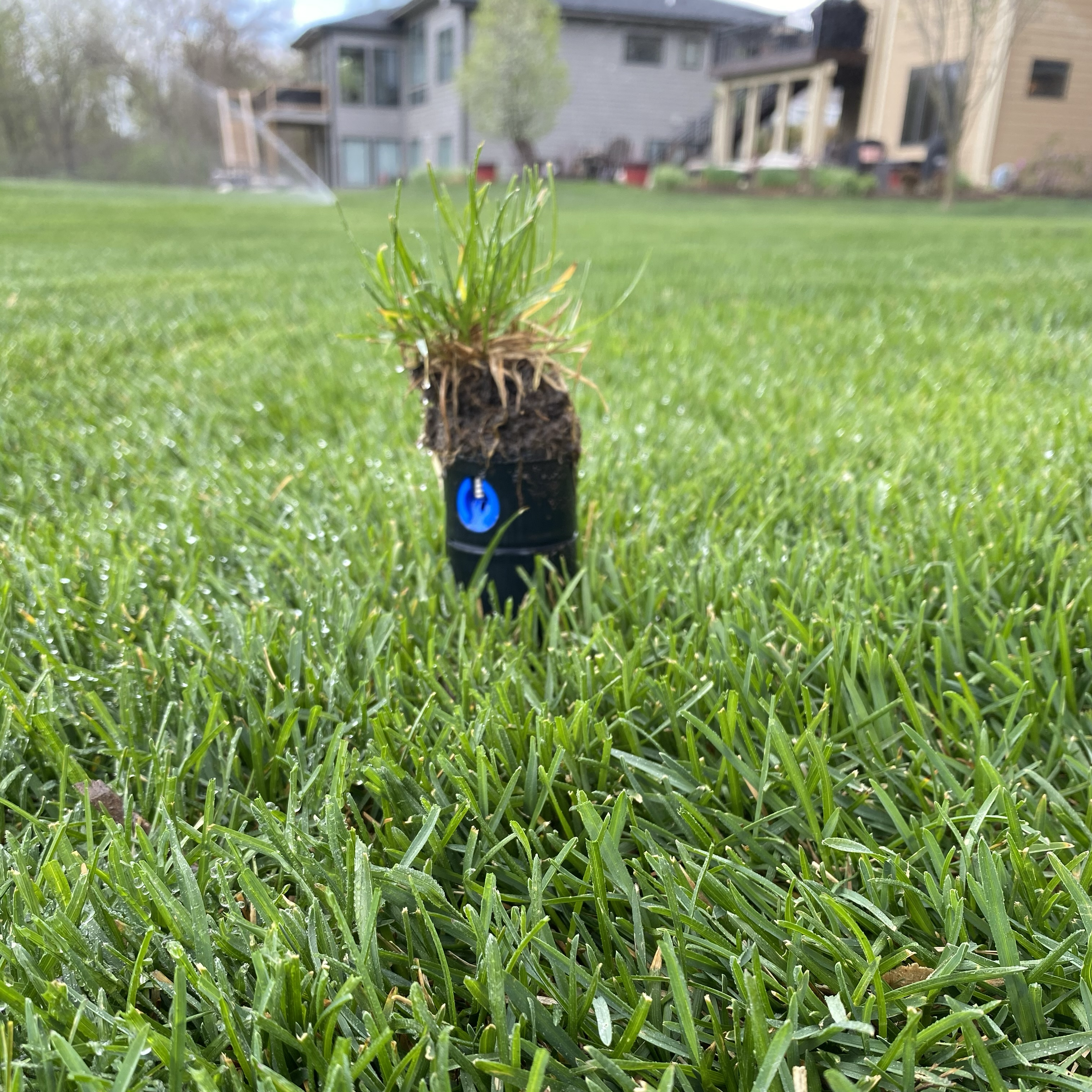 irrigation sprinkler head that has a grass topper to blend in with the landscape perfectly.